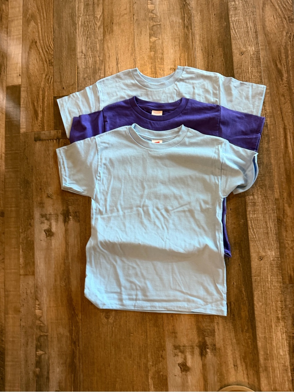 Hanes Kids Short Sleeve Crewneck Tees in Light Blue and Purple - 3 Pack